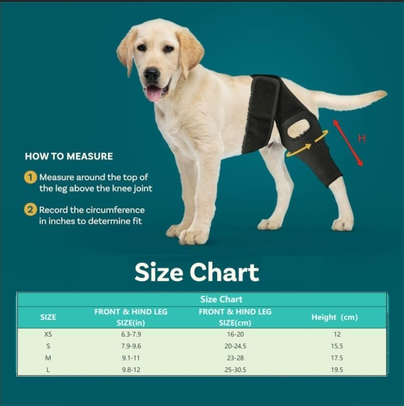 Hind Leg Dog Knee Brace, Cruciate Ligament Care Knee Brace for Dog Hind Legs, Strong Support ACL Support, Reduces Joint Pain and Muscle Soreness, with Side Stabilizer (L, Black)