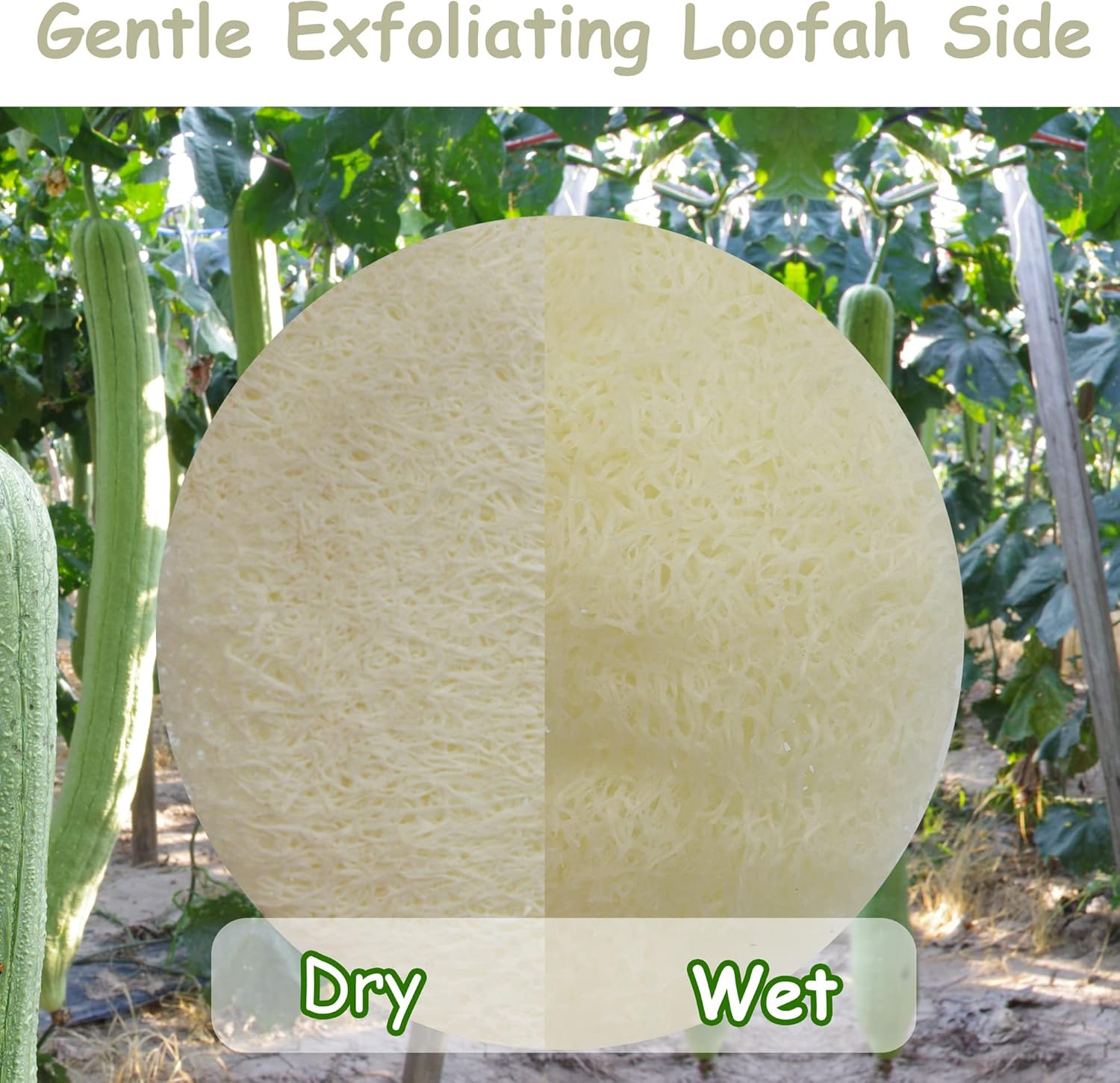 (20 PACK) Mini-Sided Exfoliating Complexion Pure Loofah Face Pad Renewable Shower Scrubber Sponge Smooth Disc Pad Scrubber Makeup Cleanser Pad image number 4