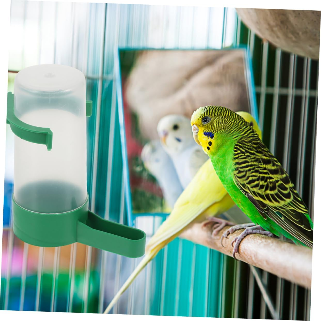 EXAOMBLE 20Pcs Small Plastic Bird Water Dispenser Automatic Waterer Bowl for Parrots and Small Birds Cage Use, Leak-Proof Design Suitable for Birdcage Feeding Supplies