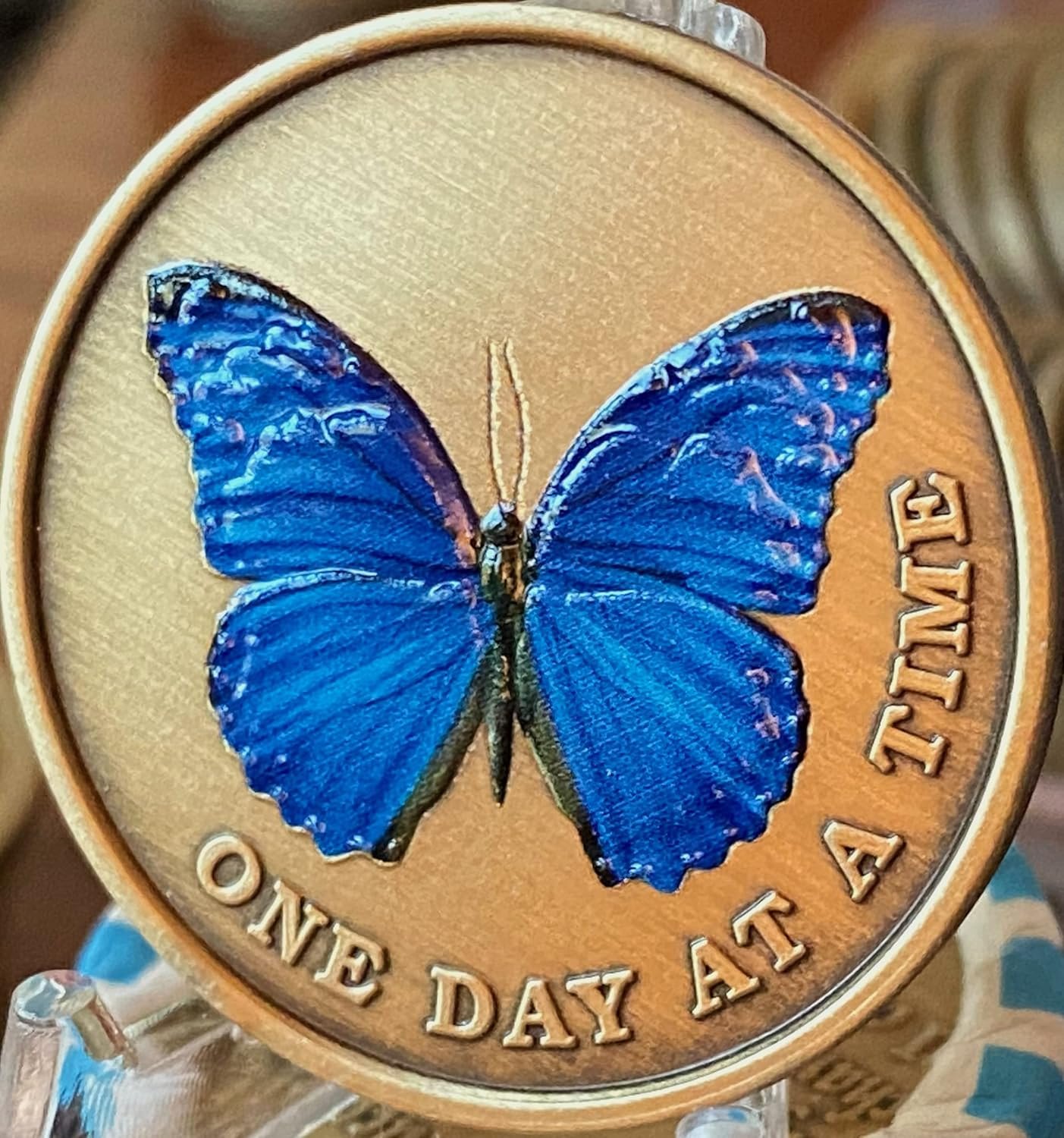 Blue Color Butterfly One Day at a Time Medallion Serenity Prayer Bronze Chip image number 3