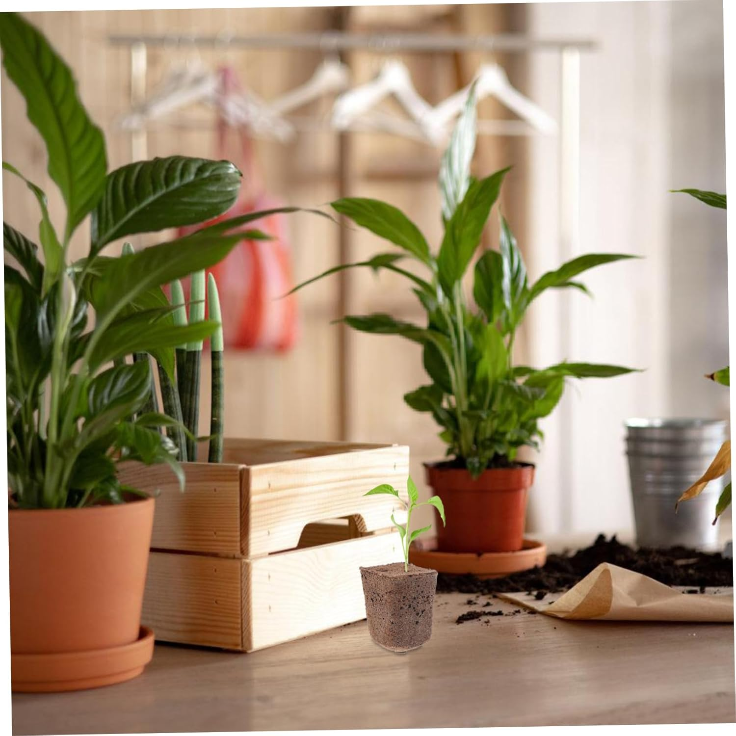 KITANDOVE 40Pcs Hydroponics Seed Starter Blocks Soilless Cultivation Grow Media Cubes for Indoor and Outdoor Gardening 1 Inch Plant Nursery Plugs High Air Permeability image number 3