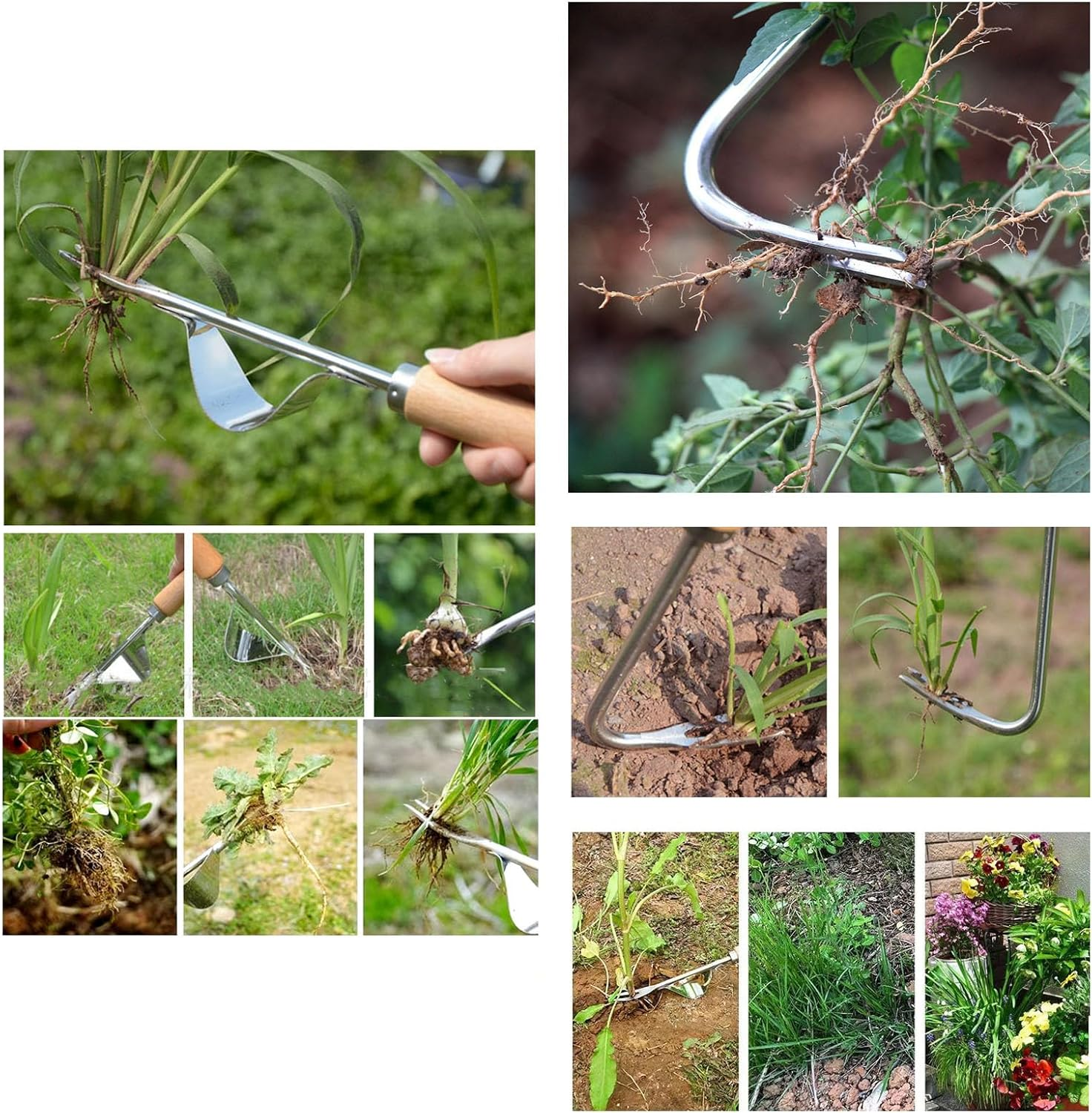 Shgarden Weed Puller Tool 4Pcs Crack Weeder Crevice Weeding Tool Stainless Steel Manual Weeder Paver Multifunctional Garden Crack Hand Weed Remover with Wooden Handle for Lawn Garden SH0082 image number 4