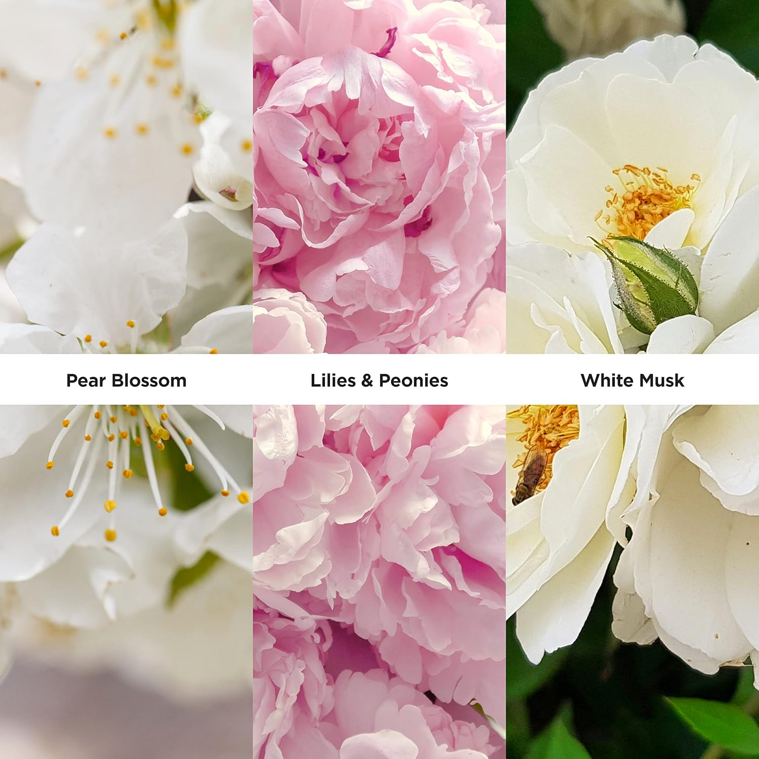 Revlon One Heart by Revlon for Women - 1 Oz EDT Spray image number 1