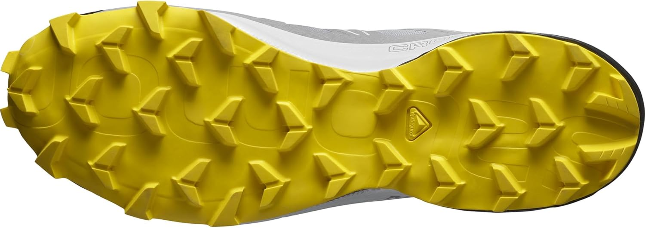 Salomon Men'S Speedcross 5 GTX Trail Running and Hiking Shoe