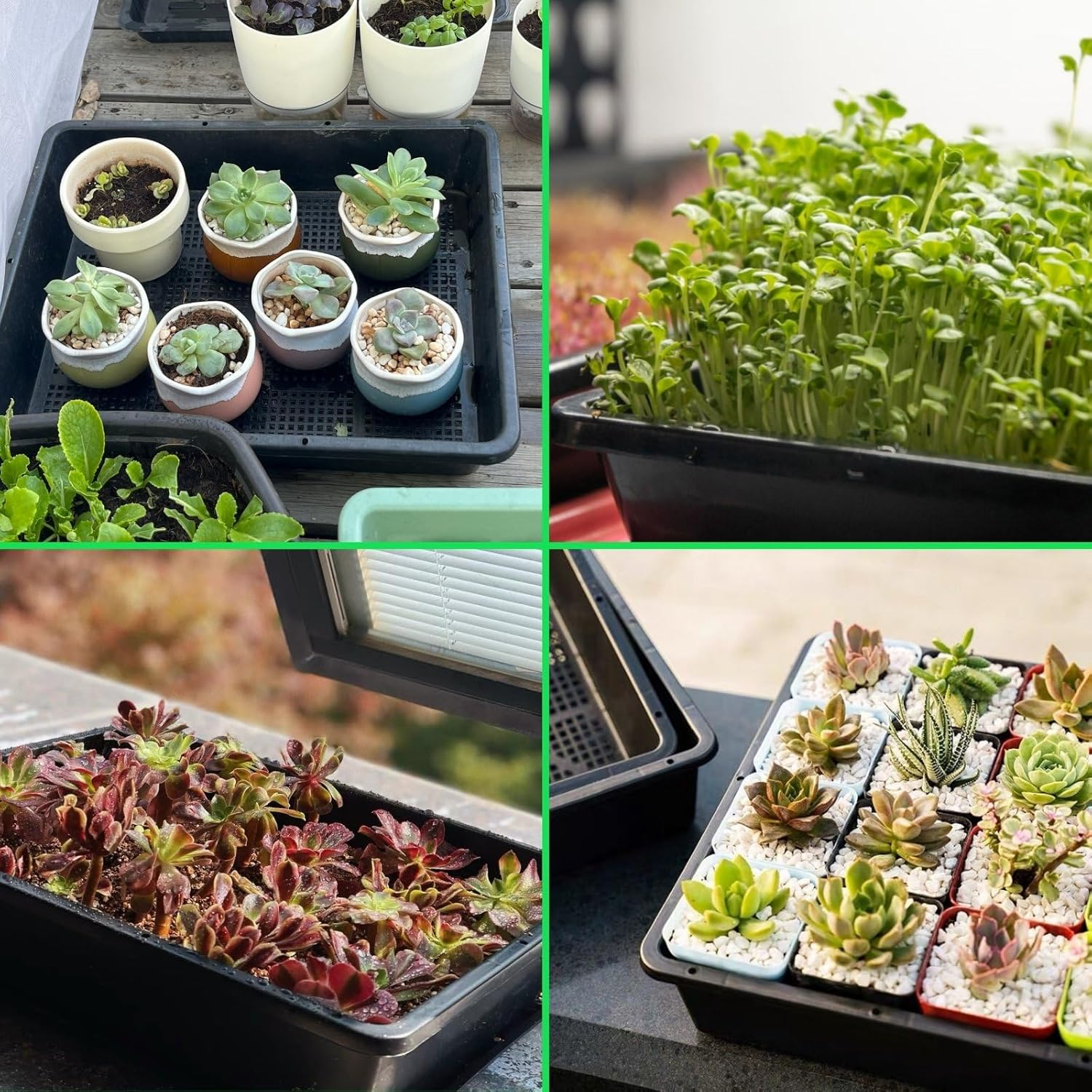 Begrit Seed Starter Trays 5-Pack 15X12 Inch Mesh Bottom Tray Plastic Plant Trays Garden Seedling Starter Kit for Plants,Microgreens,Soil Blocks,Wheatgrass,Hydroponic and Fodder Systems image number 4