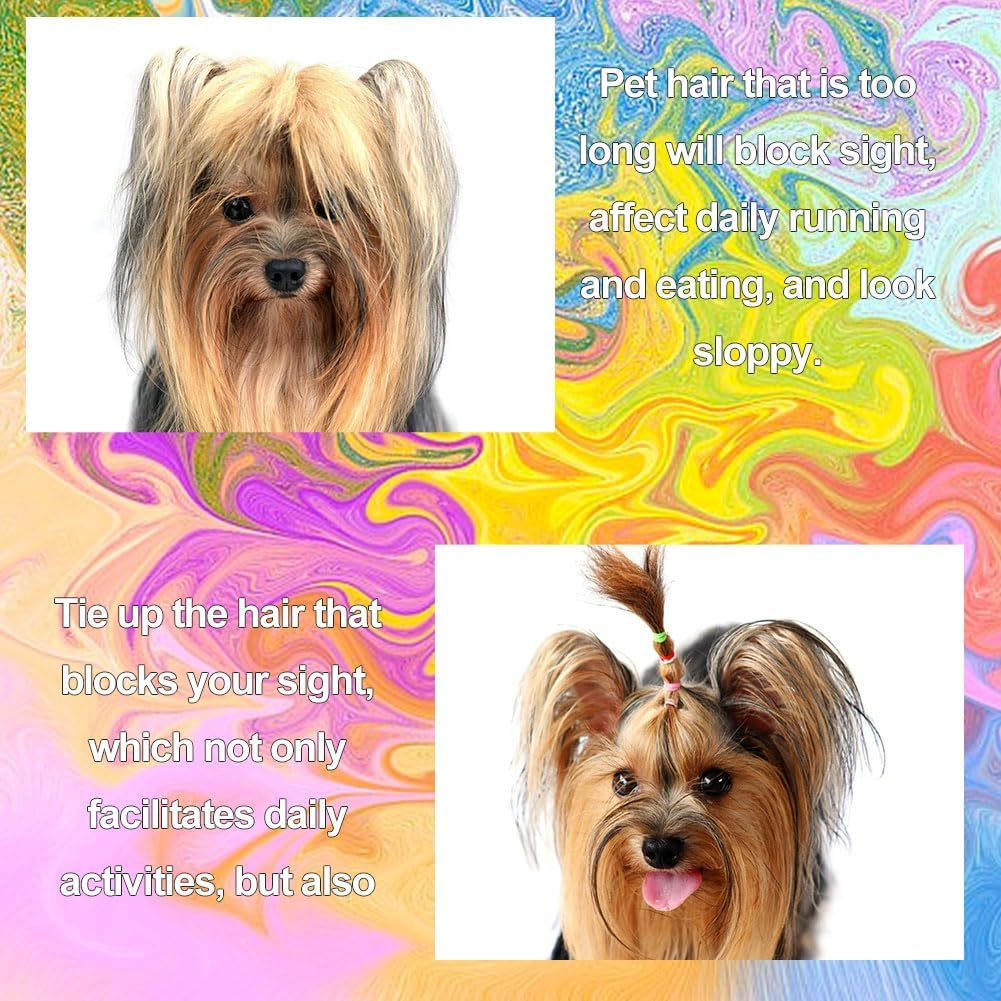 Butyeak Dog Hair Rubber Bands, Pack of 1000 Mini Hair Bands, Mini Elastic Colourful Pet Rubber Bands, Small Dog Hair Bands, Small Hair Bands, Small Rubber Rings, Small, Transparent image number 3