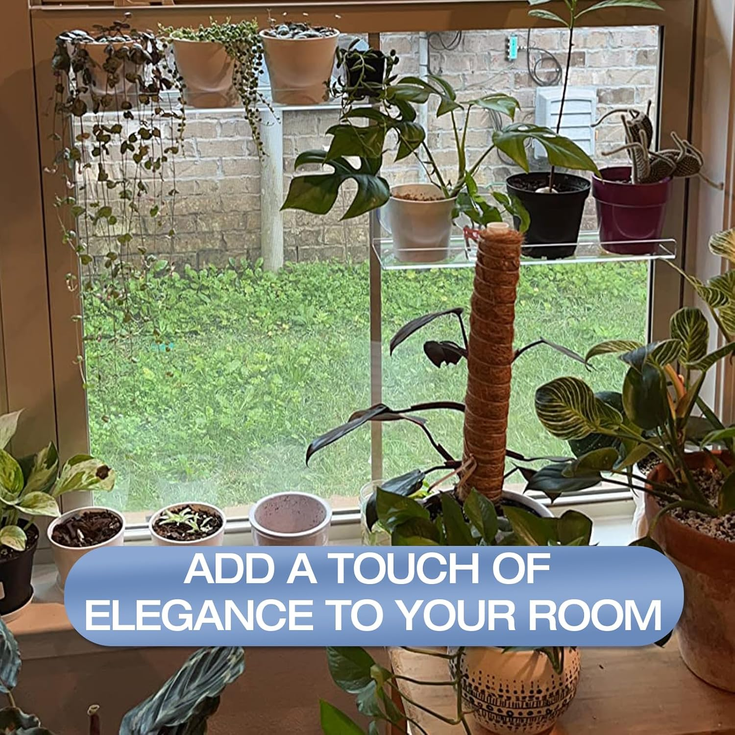 2-Pack 12 Inch Window Plant Shelves - Acrylic Suction Cup Sill Extender for Succulents, Herb Planters, Micro Greens, Bathroom Organizer, Display Stand & Cosmetics Storage | Space-Saving image number 1