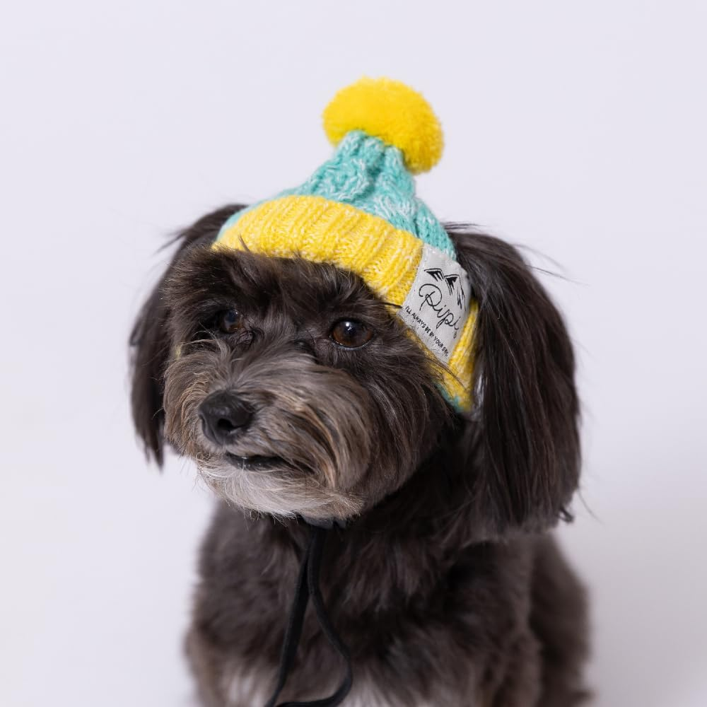 Three Arrows PIPI Dog Knit Hat Green X Yellow, S