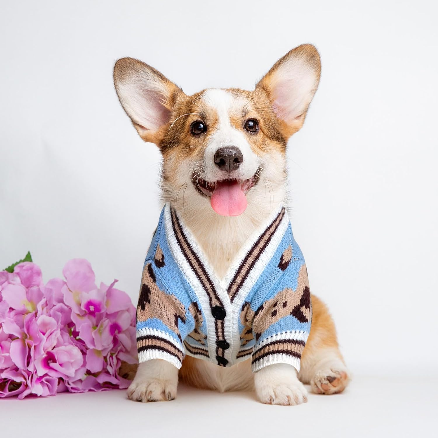 Small Dog Sweaters Cute Bear Knitted Dog Cardigans Clothes for Small Medium Dogs Soft Pet Puppy Cat Knitting Outfits Fall Winter Warm Boy Girl Dogs Knitwear Coat Apparel（Blue,X-Small） image number 4