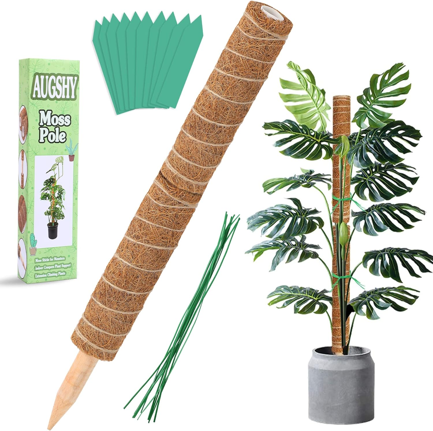 Augshy Moss Pole, Total Length 20 Inch Coir Totem Pole - 2Pcs 12 Inch Moss Pole, Coir Moss Stick for Monstera Climbing Indoor Creepers Plant Support Extension image number 5