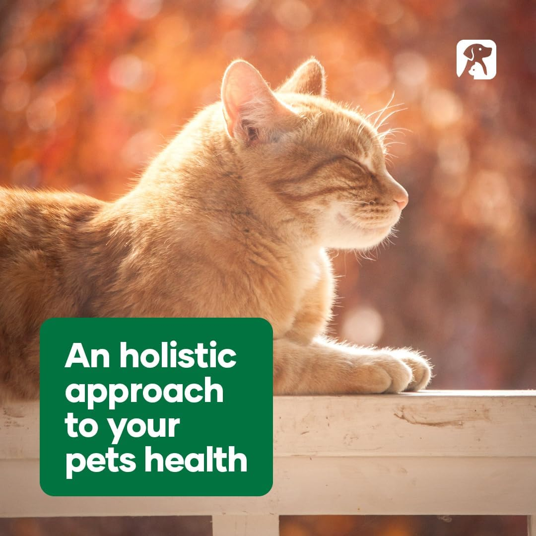 Natural Animal Solutions Joint & Ligament Support - Hip and Joint Supplement for Dogs and Cats. Glucosamine for Dogs Joint Supplement with Chondroitin and MSM, 120G image number 1