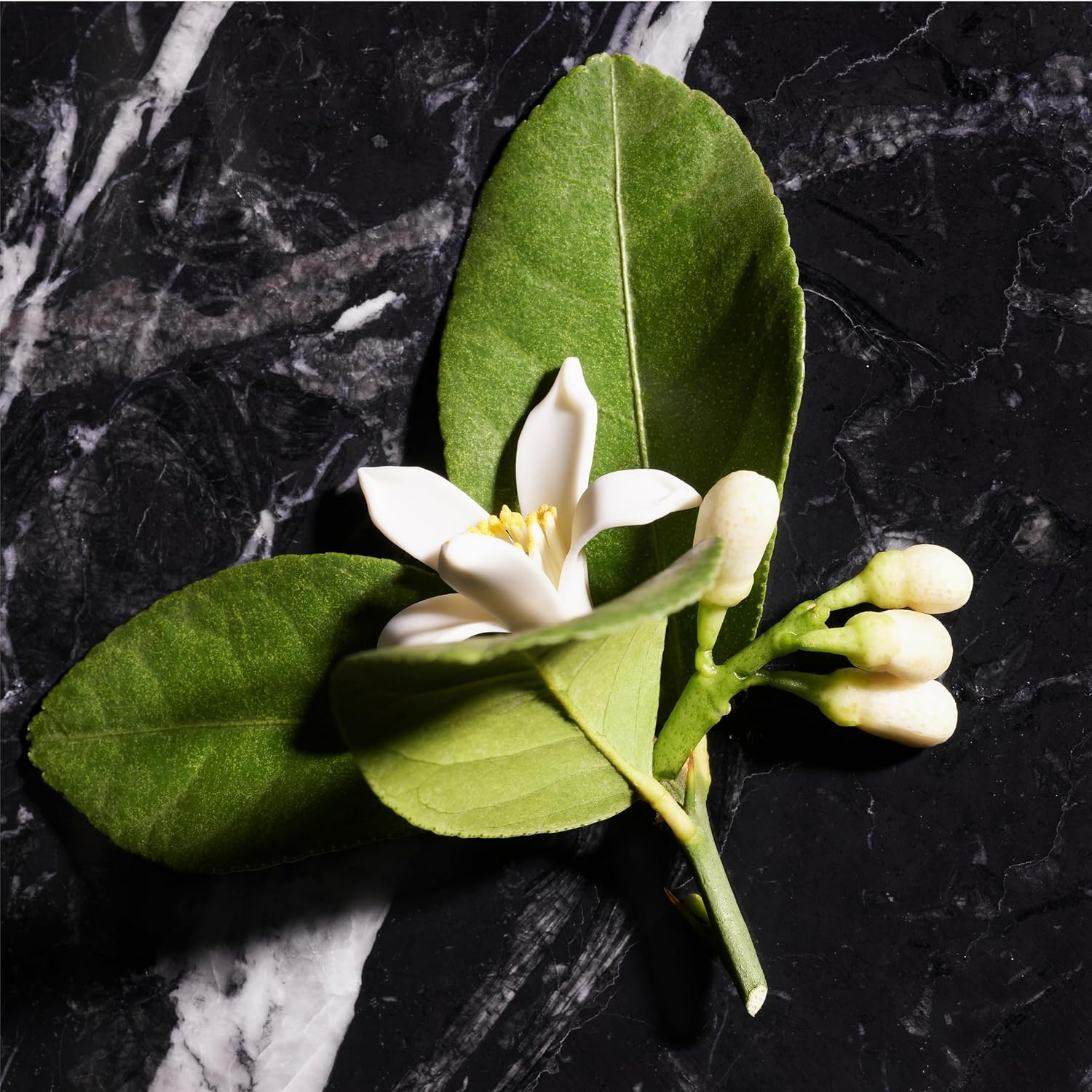 JOOP! Shower Gel for Men 150 Ml