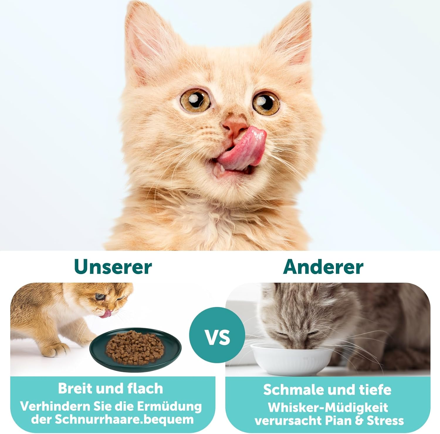 Ceramic Cat Bowl, Set of 5, Feeding Bowl, Cat Ceramic Cat Feeding Bowl for Kittens and Small Animals, Cat Food Bowl, Flat Feeding Bowl, Cat Bowl Set image number 5