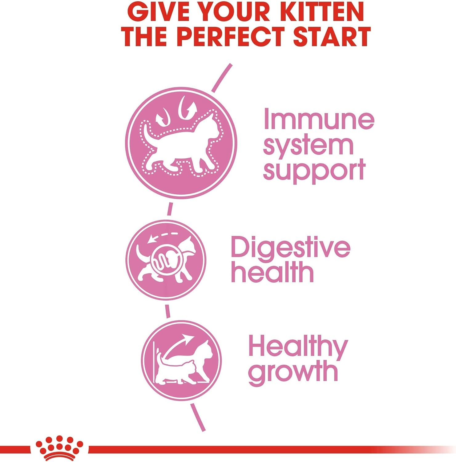 Royal Canin Second Age Kitten Food 4 Kg