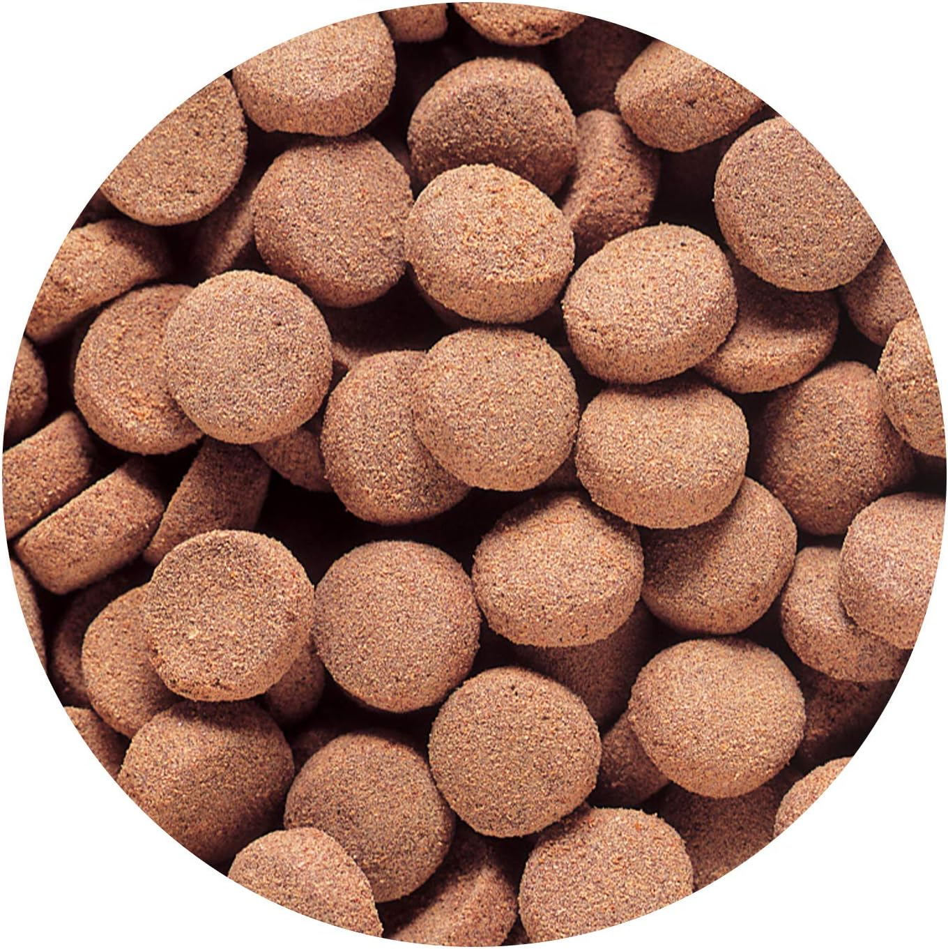 Hikari Usa Inc AHK22036 Massivore Delite 13.4-Ounce image number 1