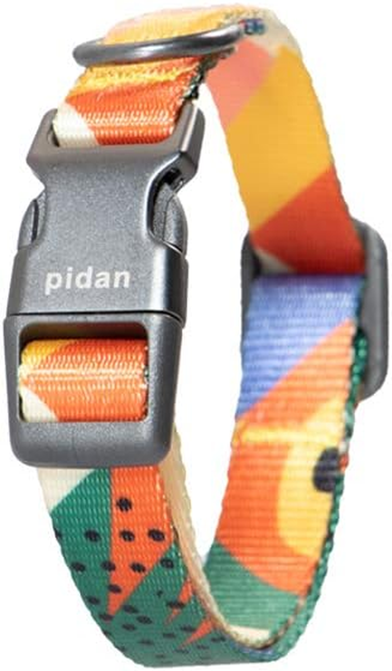 Pidan Dog Collar with Metal Buckle, image number 1