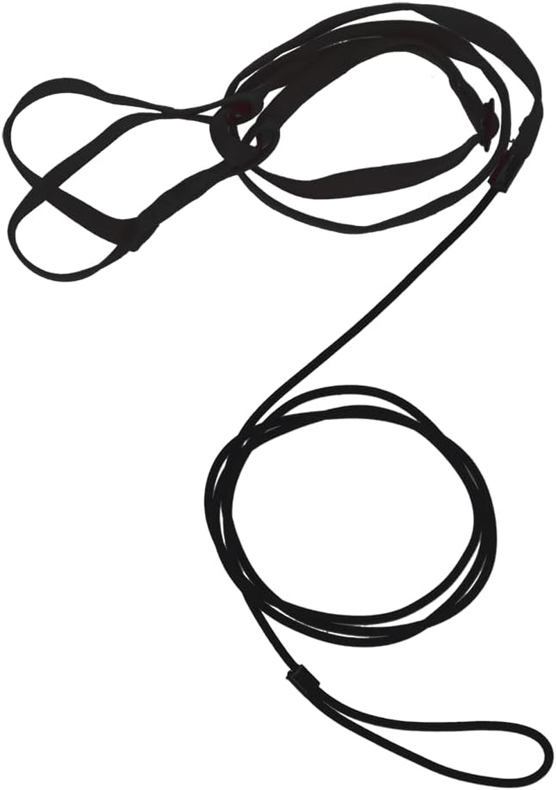 Prestige Bird Harness and Leash Black - Petite (75-110G)