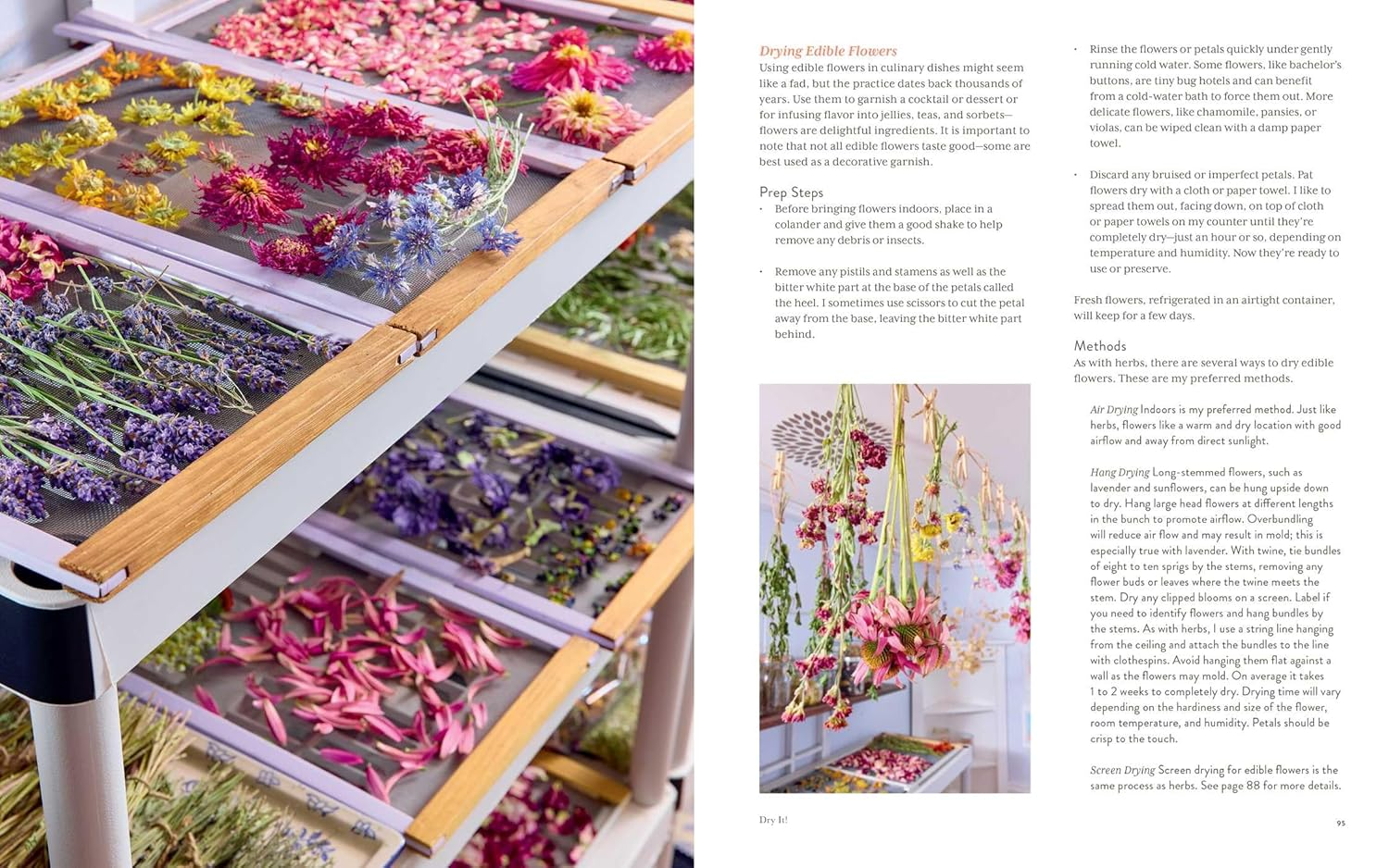 Preserving the Seasons: a Guide to Canned, Jammed, Frozen, Dehydrated, Freeze-Dried, Quick-Pickled, and Infused Produce, Herbs, and Flowers (A Cookbook) image number 4