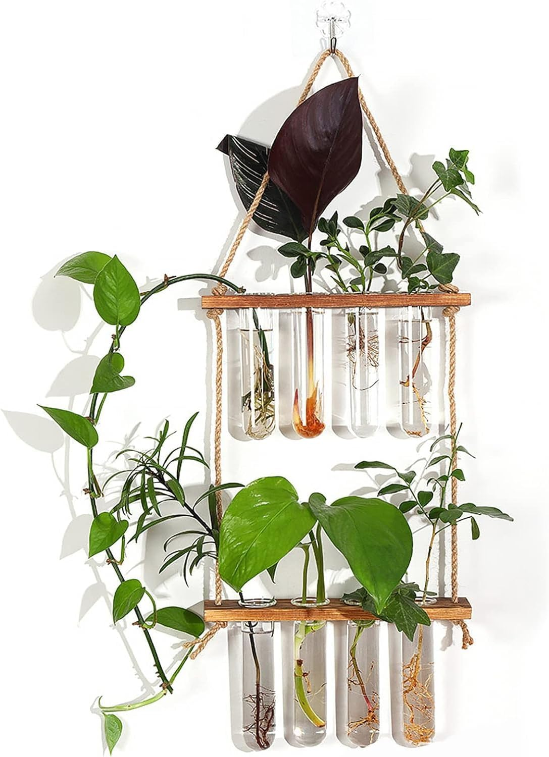 Plant Propagation Station,2 Tiered Test Tube Hanging Plant Holder with Wooden Stand,Propagation Station with Wooden Stand, Propagation Planters Glass Tube for Hydroponic Plant Decor image number 2