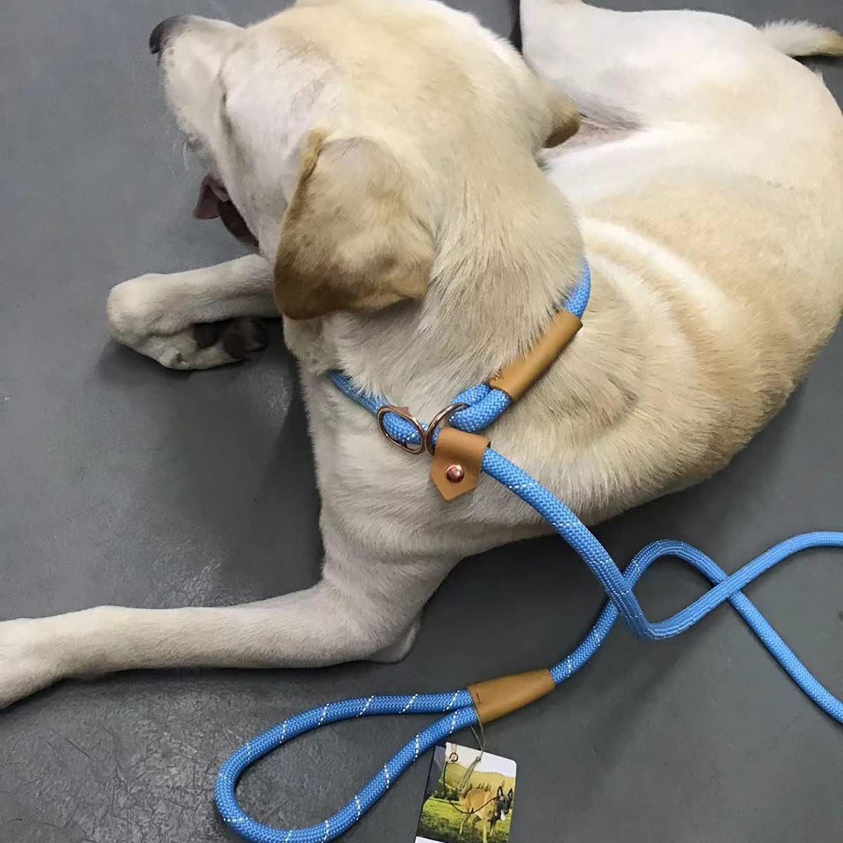 6FT Reflective Rope Slip Leash for Dogs, Slip on Leash Large Dogs, Slip Lead Dog Loop Leash for Large Medium Dogs - Beige image number 3