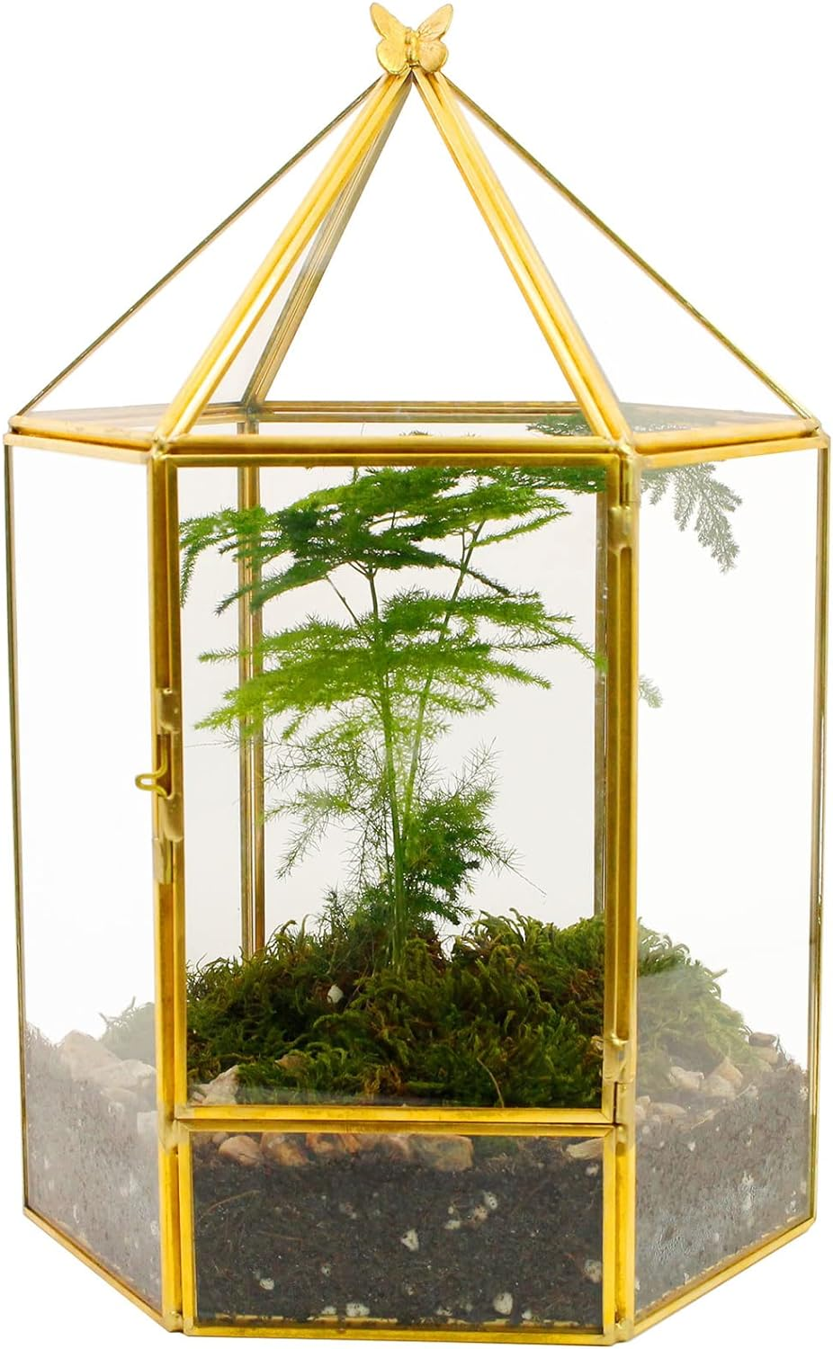 ELEGANTLIFE Glass Geometric Plant Terrarium,Succulent & Air Planter for Home Garden Office Decoration,No Plants(Gold Hexagonal) image number 5