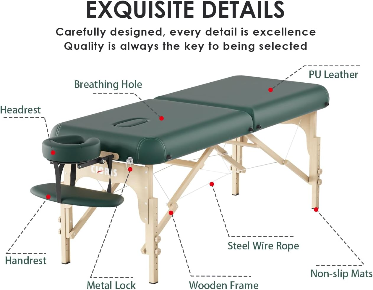 CLORIS 84" Professional Massage Table Portable 2 Folding Lightweight Facial Salon Spa Tattoo Bed Height Adjustable with Carrying Bag & Wooden Leg Hold up to 1100LBS Green