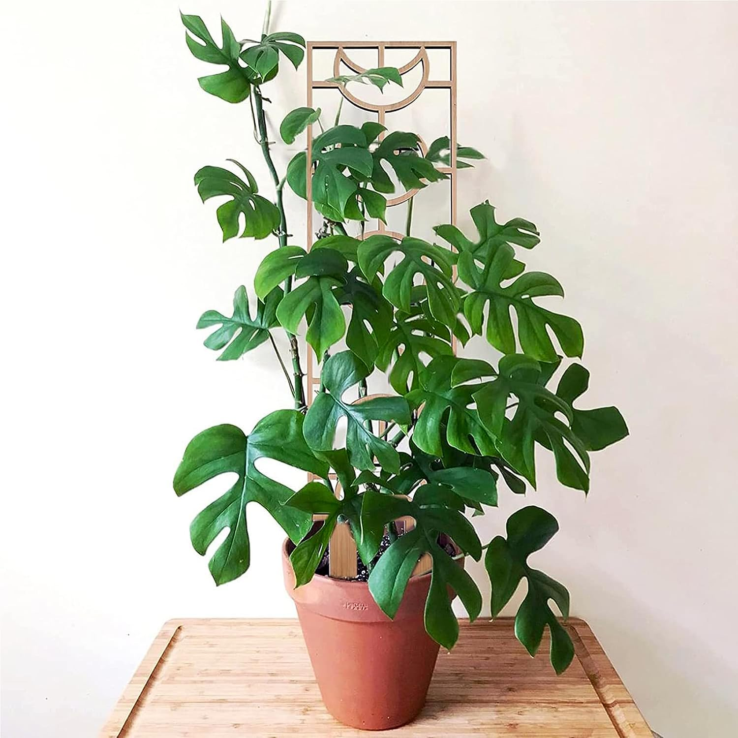 Wooden Plant Trellis, Small Garden Trellis for Climbing Plants Indoor Pot, 2 Pack Moon and Geometric Shape Design with Moisture-Proof Layer, Houseplants Decoration for Vines, Hoya (2Pcs, Au) image number 2