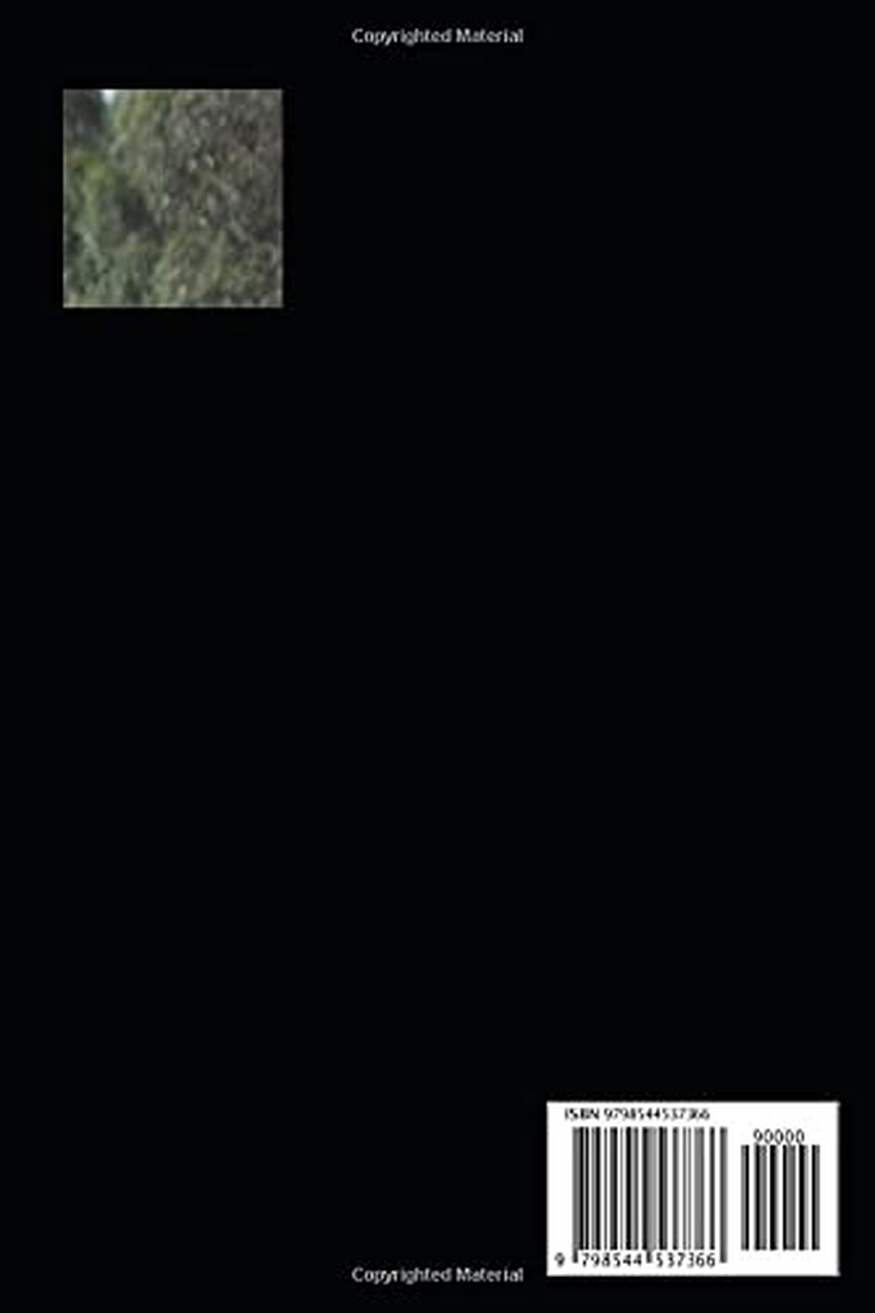 2021/2022 NSW DKT RTA DRIVER KNOWLEDGE PRACTICE TEST QUESTIONS: Based Directly from the Official 2021 New South Wales Road Users&rsquo; Handbook, Australia image number 1