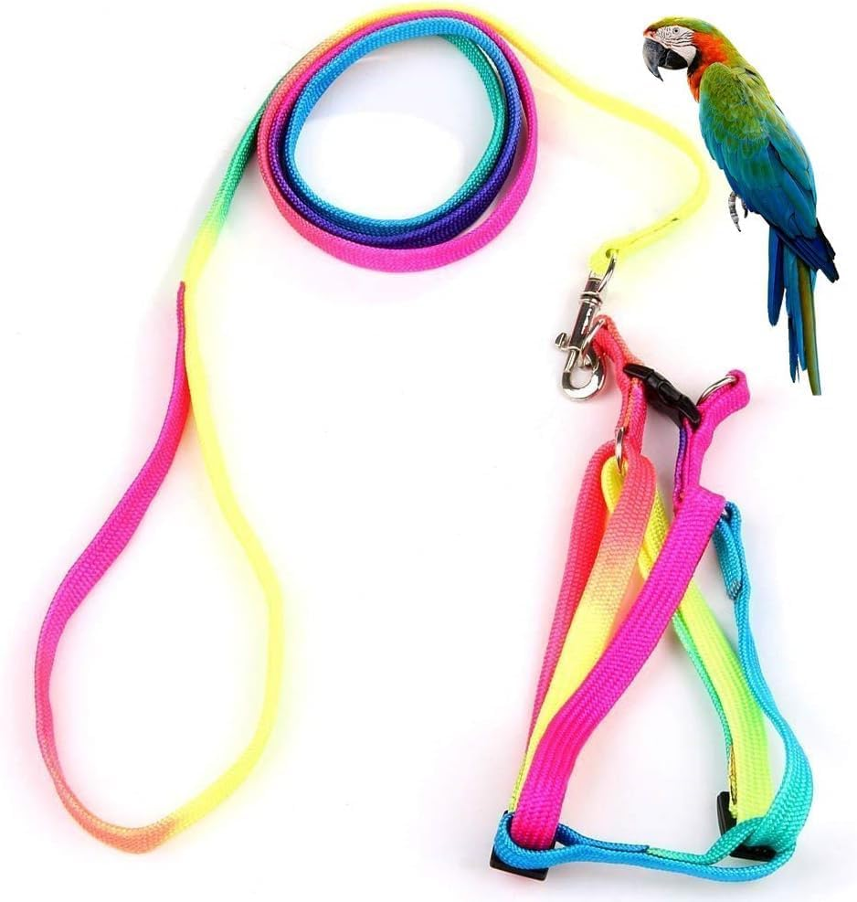 Pet Bird Harness and Leash with Buckle Adorable Rainbow Design Safe Parrot Leash Pet Harness Outdoor Adjustable anti Bite Training Rope for Macaw Large Size Bird (Color, 1.5 * 120CM)