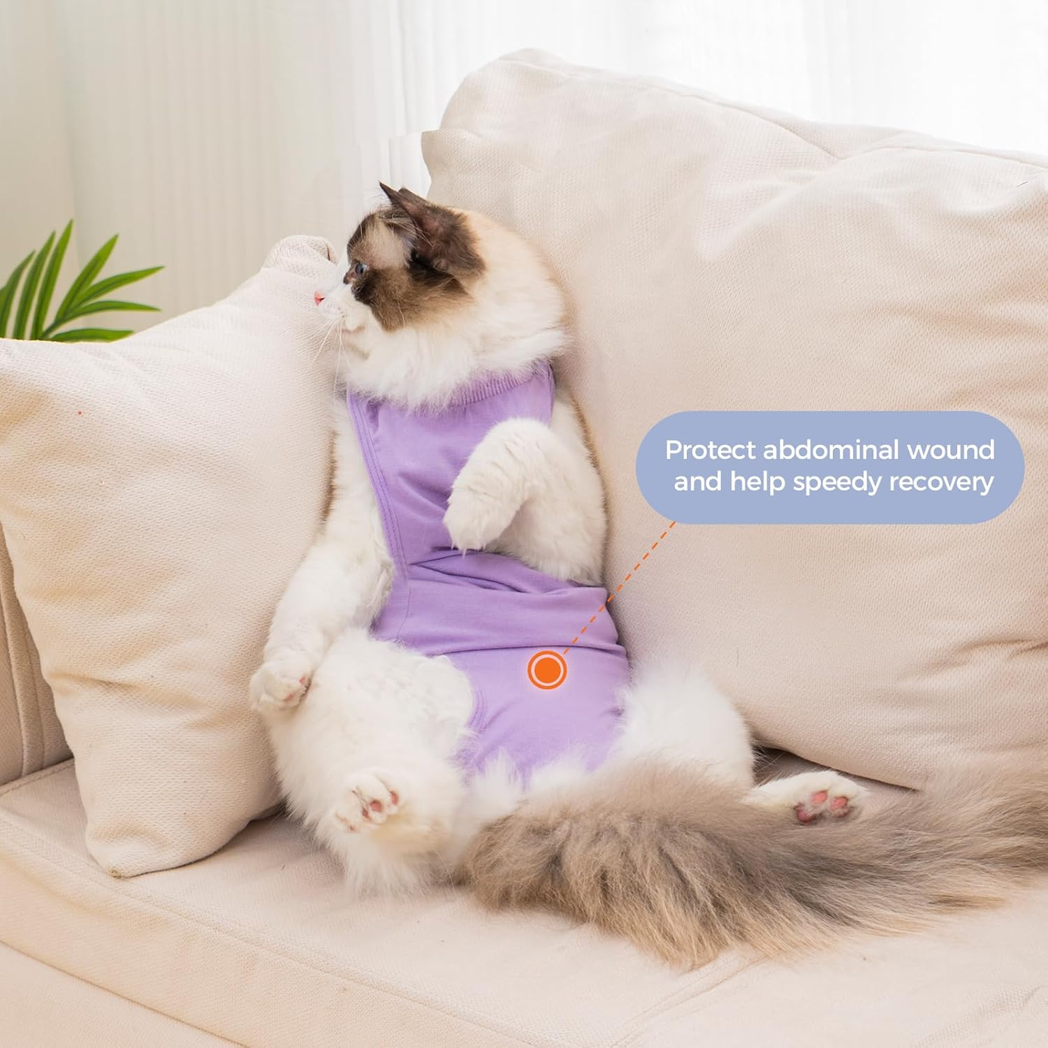 Avont Cat Recovery Suit&ndash;Soft Post-Surgery Onesie, Breathable Cone-Of-Shame Alternative for Spayed Females Cat, Skin Wound Care -Purple(S)