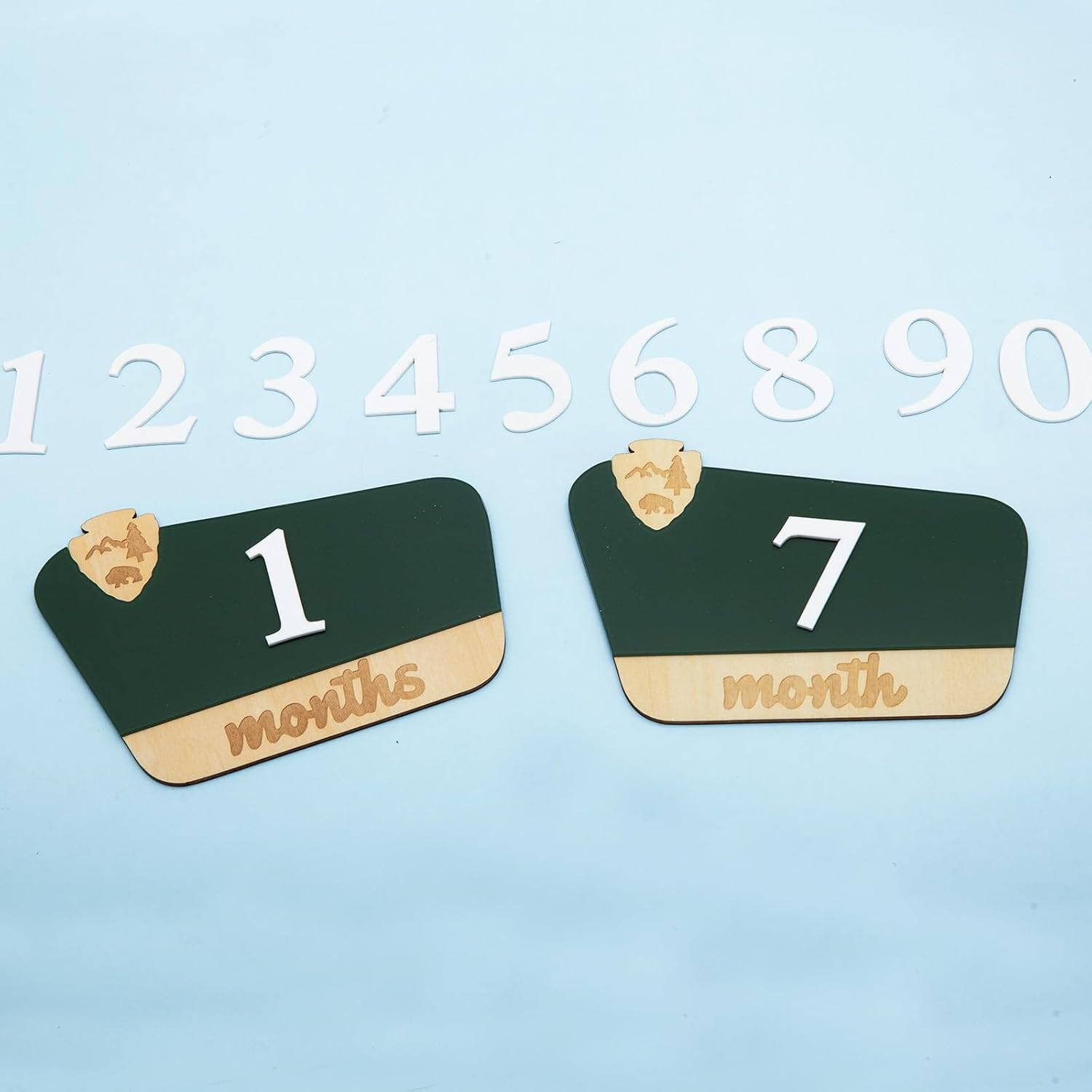 National Park Baby Milestone Markers - Wooden Monthly Signs for 1-12 Months, Interchangeable Nature-Themed Growth Tracker, Rustic Nursery Decor, Woodland Baby Announcement Board, Photoshoot Props image number 5