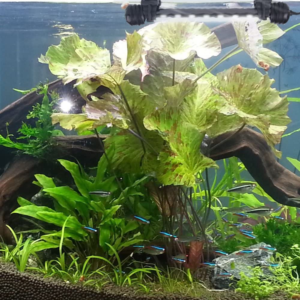 LED Aquarium Light, Fish Tank Light Submersible Underwater Crystal Glass Leds Lights, 7.5"- White image number 1