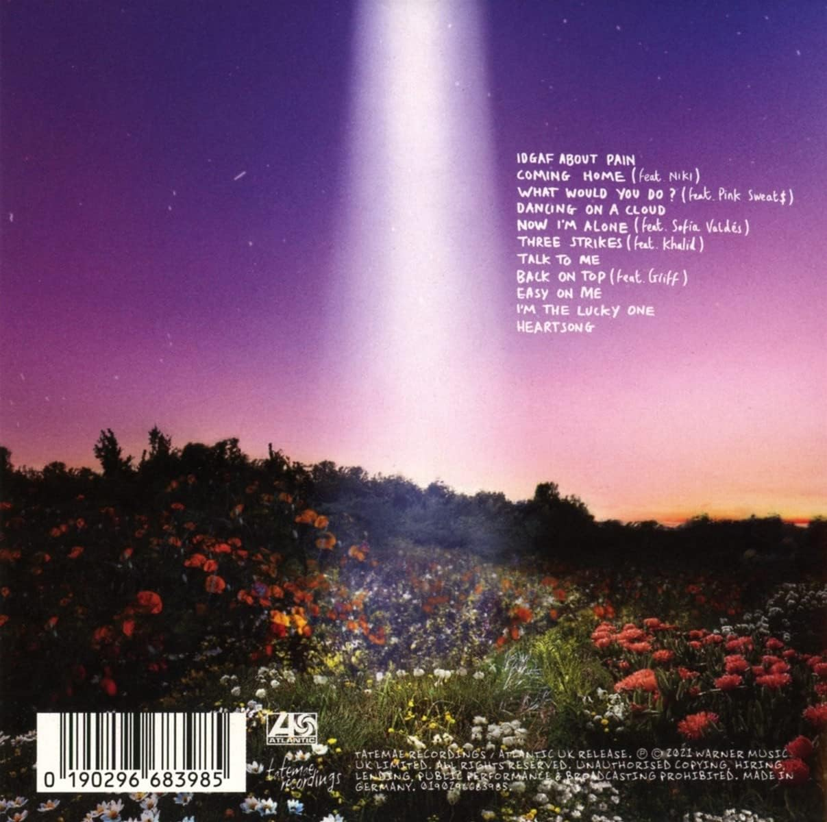 Let'S Just Say the World Ended a Week from Now, What Would You Do?(Audio CD)