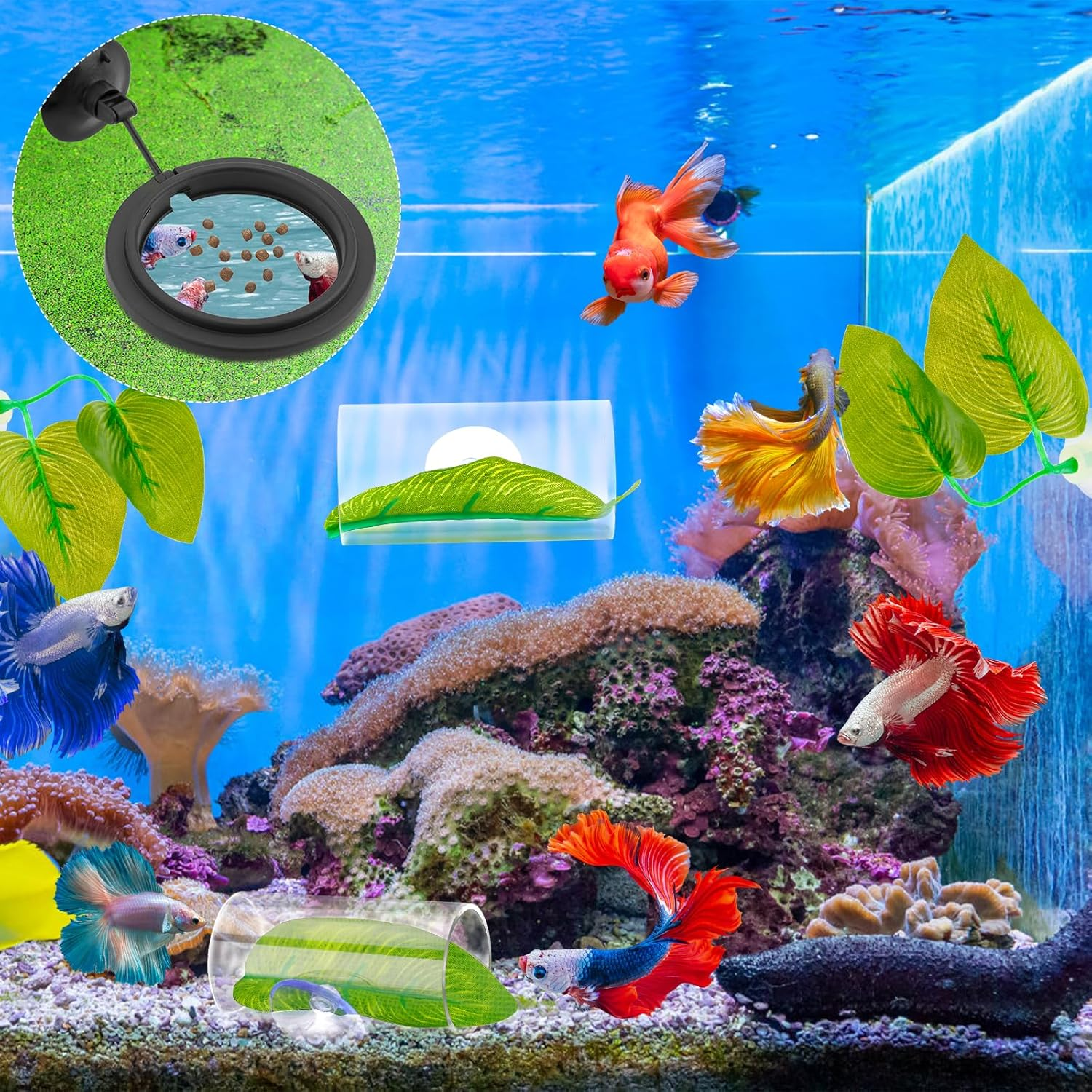 NQEUEPN Betta Fish Tank Accessories, 2Pcs Betta Tunnel & 2Pcs Betta Fish Leaf & round Fish Feeding Ring Fish Toys Betta Fish Natural Habitat Shelter Hideaway Betta Fish Tank Decorations image number 2