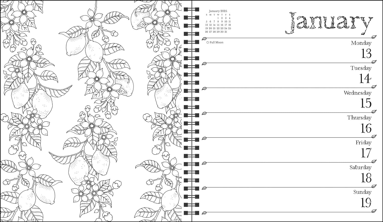 Johanna Basford 12-Month 2025 Weekly Coloring Calendar: a Special Collection of Whimsical Illustrations from Her Books image number 5