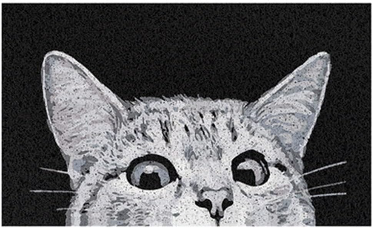 Cat Front Door Mat Outdoor Mud Absorbent, 45&times;75Cm Welcome Mat for Indoor & Outdoor, Doormat Entrance Mat Rug outside Patio/Inside Entry Way, Anti-Slip Mats Rubber Backing, Durable & Washable (B) image number 2
