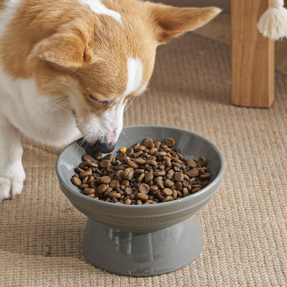 Y YHY Dog Bowl,Elevated Dog Food Bowls,Raised Dog Water Bowls,30 Ounce Ceramic Pet Bowl for Medium Dogs and Adult Cats,Anti-Vomiting,Protection Cervical Spine,Microwave Dishwasher Safe,Grey image number 3