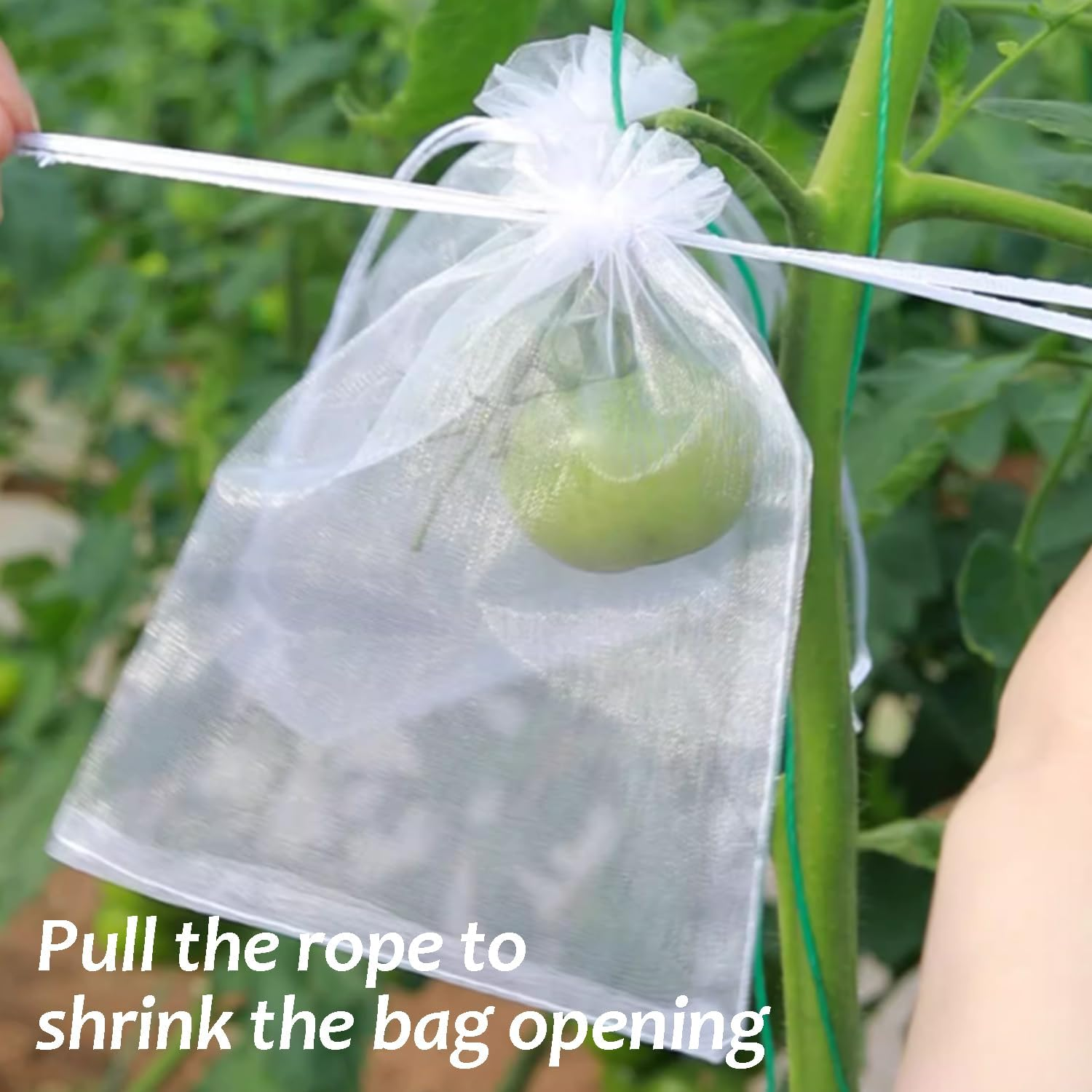 10PC Fruit Net Bag Agriculture Garden Vegetable Protection Mesh Insect Proof (20 * 30Cm) image number 4