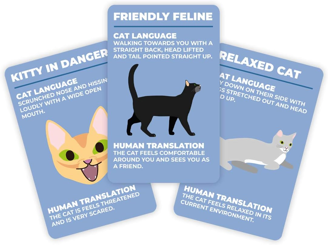 Gift Republic How to Speak Cat Cards image number 1