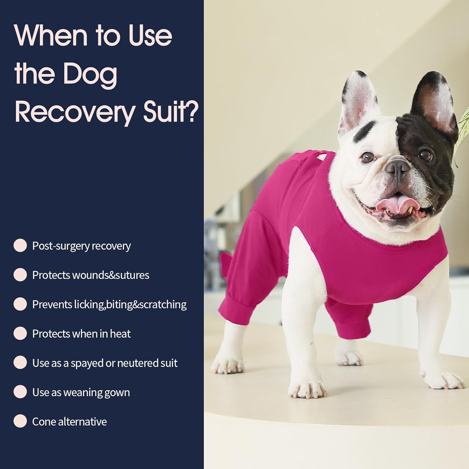 Iecoii Dog Recovery Suit - Soft Surgical Onesie for Post-Surgery Dogs, Protects Abdominal & Rear Leg Wounds, Stops Licking, L-Rosered image number 2