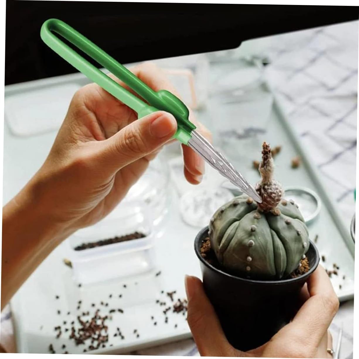 VINTORKY Portable Gardening Tweezer for Plants and Crafts, Multi-Use Garden Tool for Bonsai and Succulent Care, Household Tweezer Tool for Weeding and Object Picking image number 2