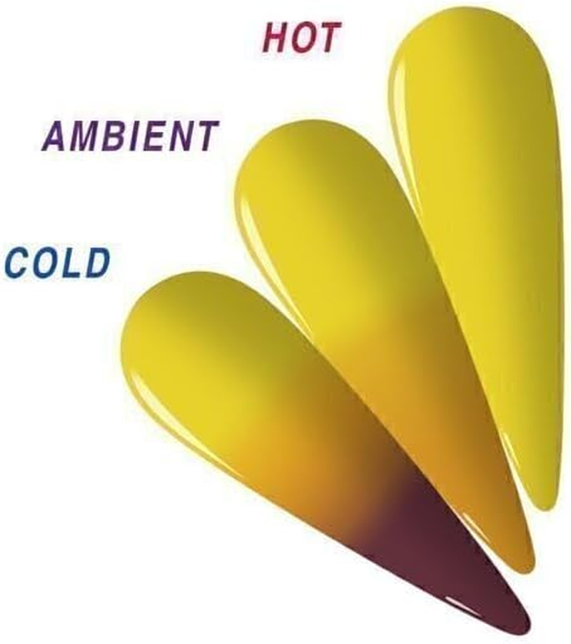 EDS Transform 02 - Transform Collection - 56G Dipping Powder