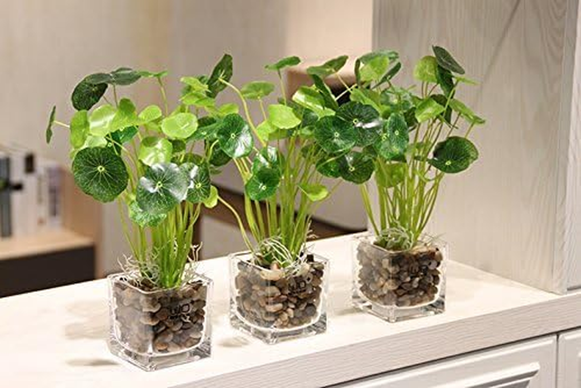 OUPENG Pebbles Polished Gravel, Natural Polished Mixed Color Stones, Small Decorative River Rock Stones 2 Pounds (32-Oz) image number 2