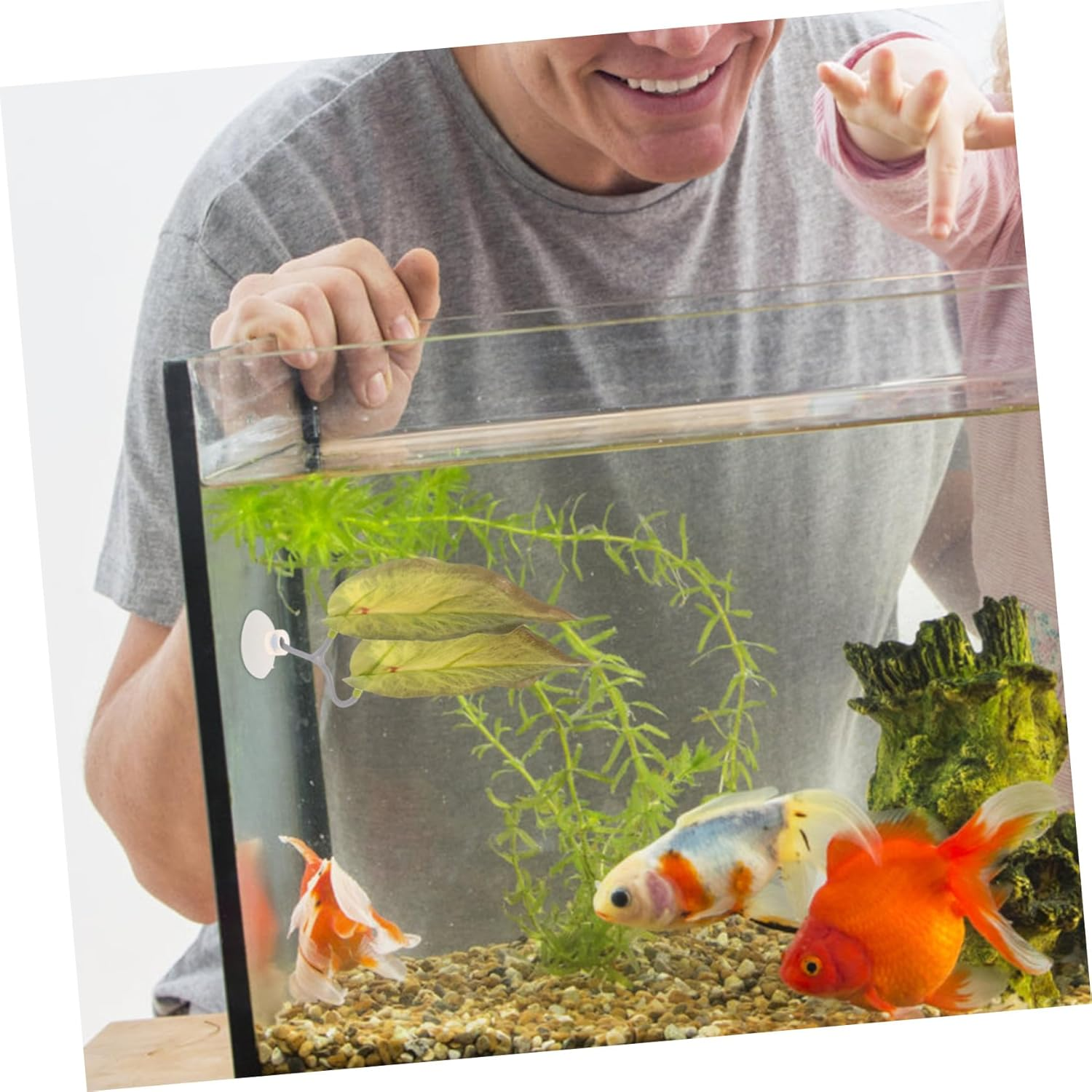 Gatuida 5Pcs Realistic Aquarium Plants Betta Hammock Leaves for Fish Tank Decor Betta-Friendly Resting and Breeding Pads Easy Installation Seamless Integration for Aquatic Pets image number 4