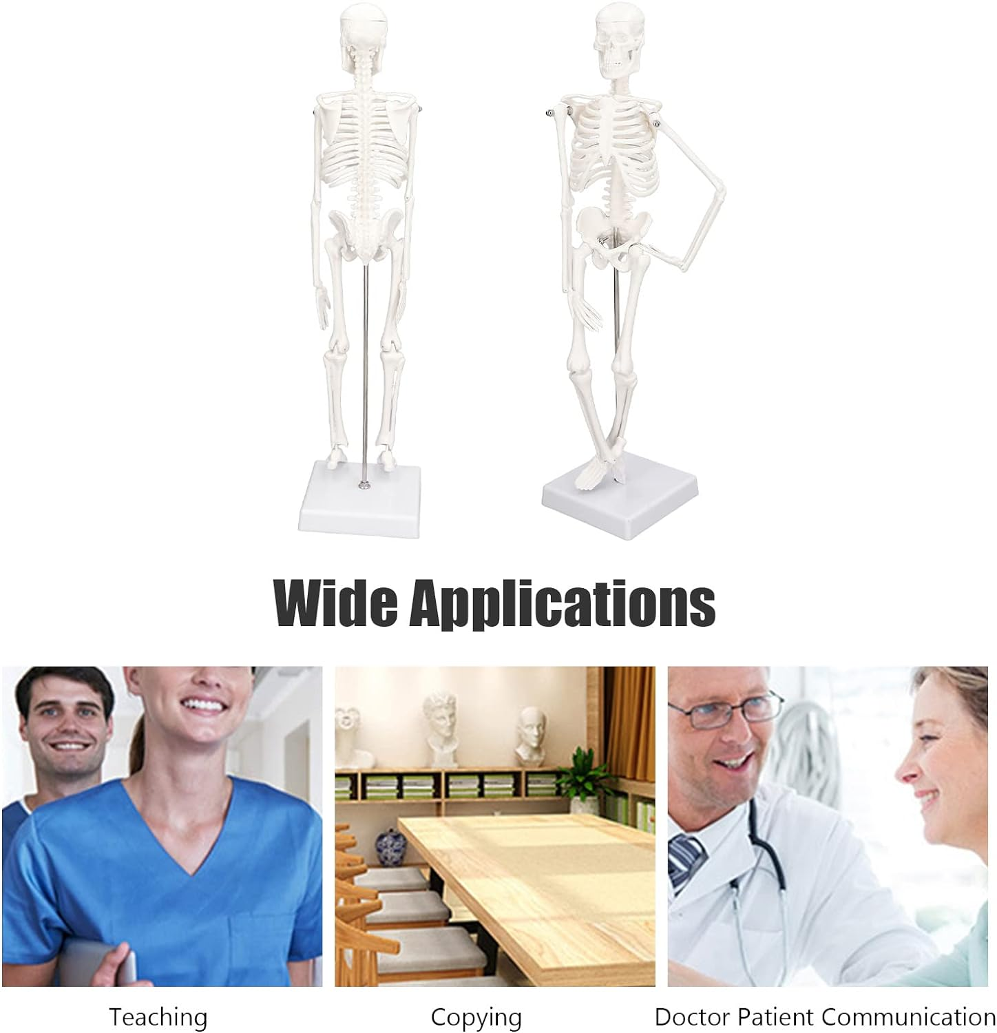 Lifelike Human Skeleton Model, 17.71In Movable Joints Detachable Mini Human Skeleton Model Human Bone Structure with Metal Stand for Halloween Decoration Classroom Artists Science Lab