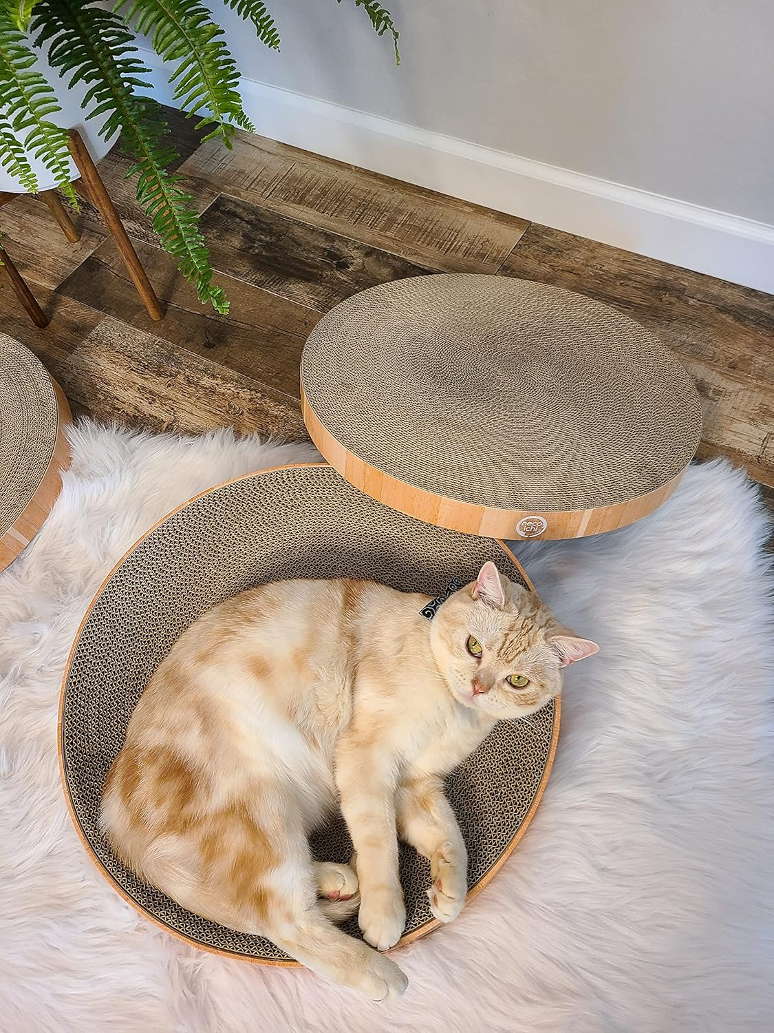 Necoichi Cozy Cat Scratcher Bowl (Pad2P) image number 3