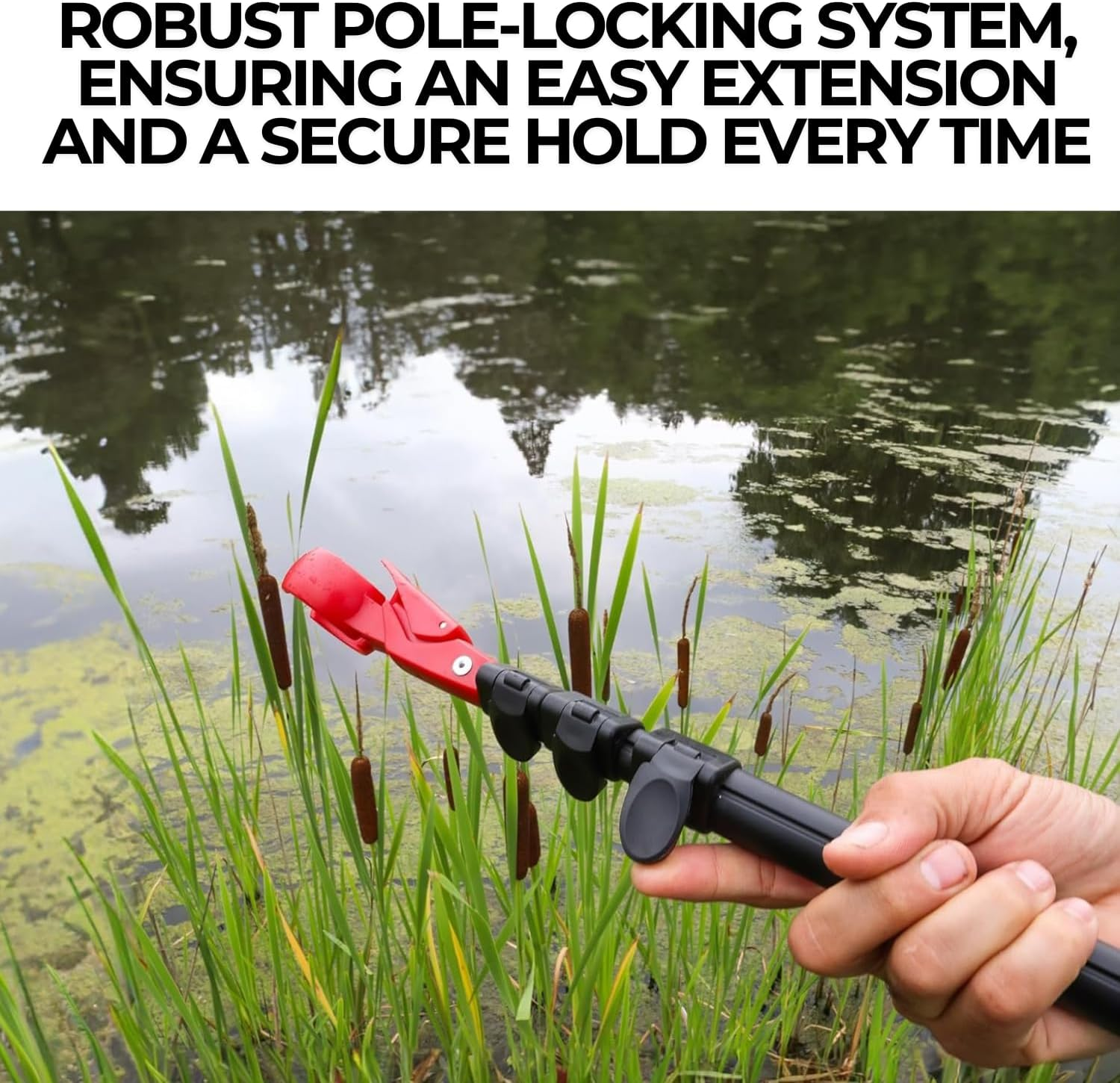 Izzo Izzo image number 5