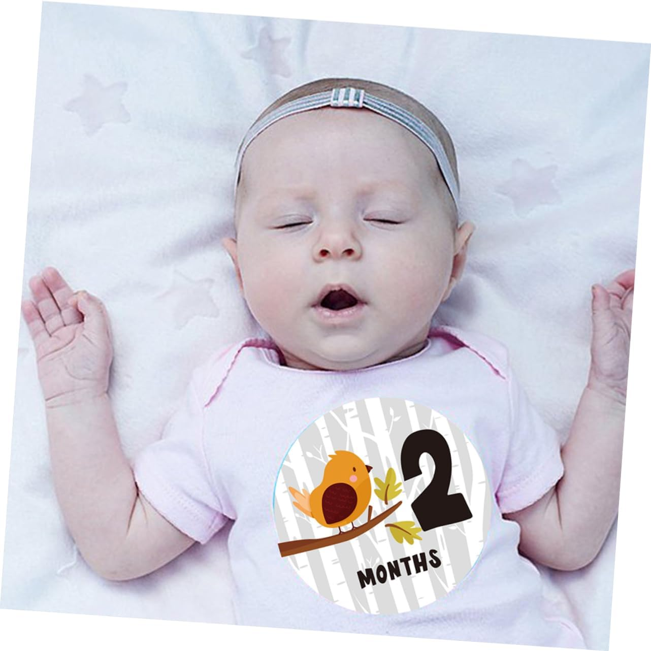 12PCS Milestone Stickers Creative round Animal Design Self Adhesive Newborn Photography Props for Tracking Growth and Media image number 3