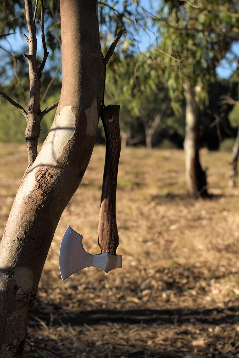 Wilora High Carbon Axe &ndash; American Hickory Handle, Dual-Grit Sharpening Stone, PU Leather Sheath, Paracord Lanyard &ndash; Camping, Bushcraft, Woodcutting, Chopping & Splitting image number 6