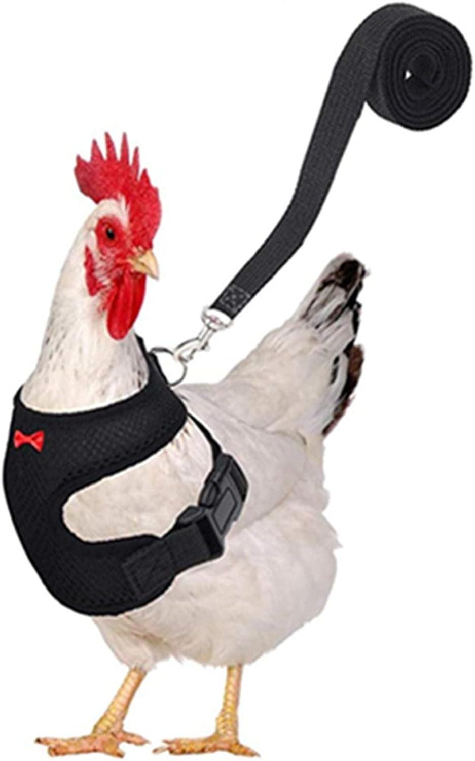 Chicken Harness and - Adjustable Chicken Vest Harness With,Chicken Accessories, Duck Harness with Elastic Chin Strap for Duck Parrot Small Pets Qincu-Au